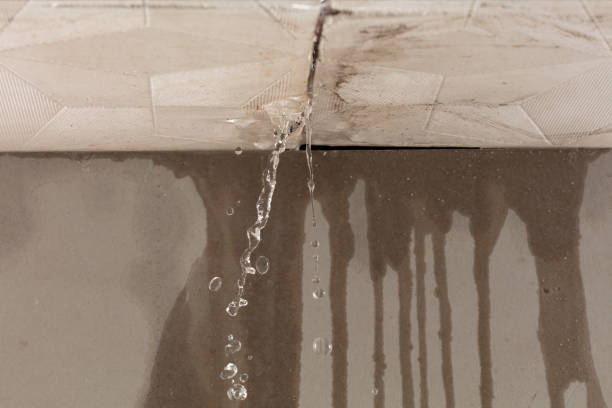 Professional Commercial Water Damage Restoration technician working in Holden, LA